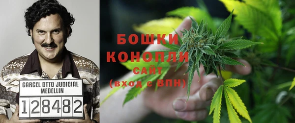 спайс Верея