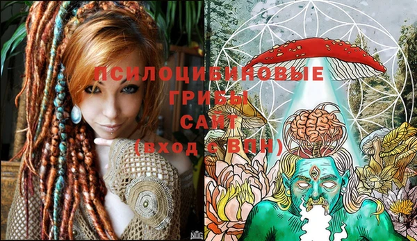 спайс Верея
